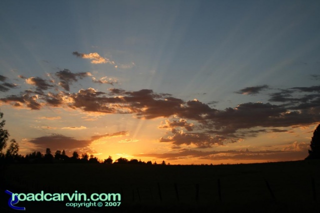 Friday Photo  - Sunburst over Pine Grove (III)
